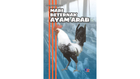 Image of Mari Beternak Ayam Arab